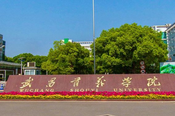 华中科大武昌分校几本