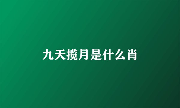 九天揽月是什么肖