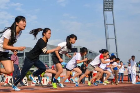 成都文理学院蓝皮书有哪些专业？