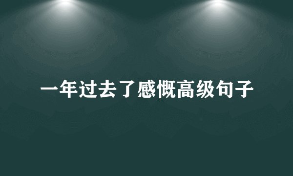 一年过去了感慨高级句子