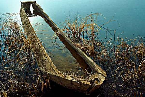 独木成船双木林什么意思