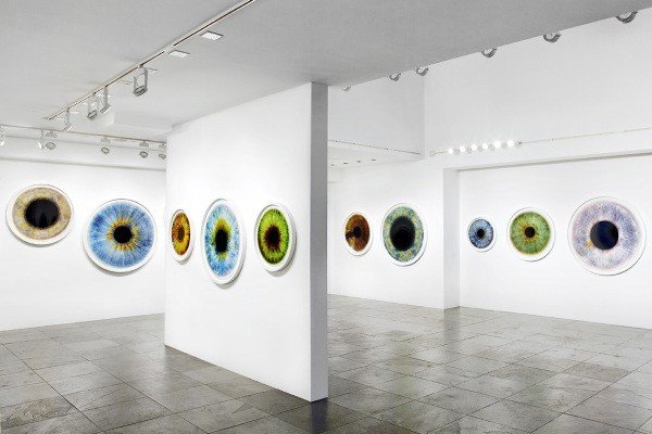 rankin量表怎么读