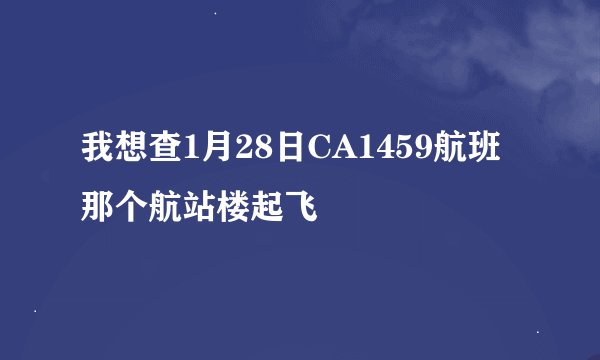 我想查1月28日CA1459航班那个航站楼起飞
