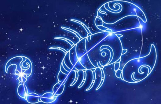 北斗七星属于什么星座