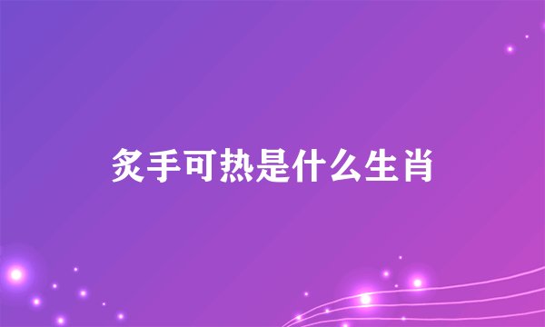 炙手可热是什么生肖