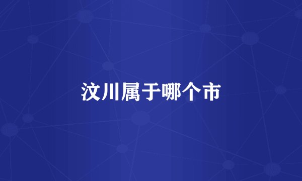 汶川属于哪个市
