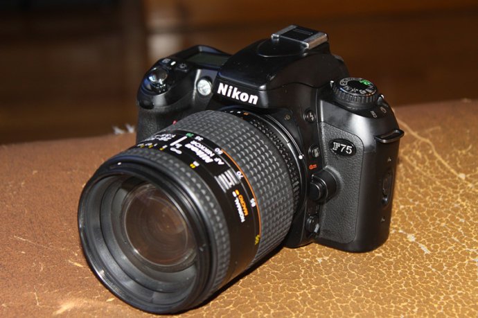 尼康F75的介绍