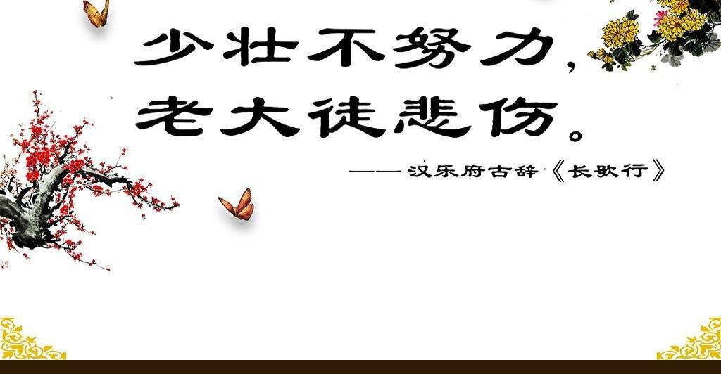 少壮不努力上一句是啥