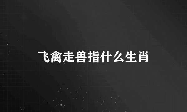 飞禽走兽指什么生肖
