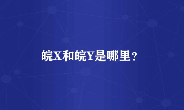 皖X和皖Y是哪里？