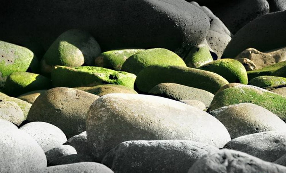 2个石和4个石读什么啊 ？