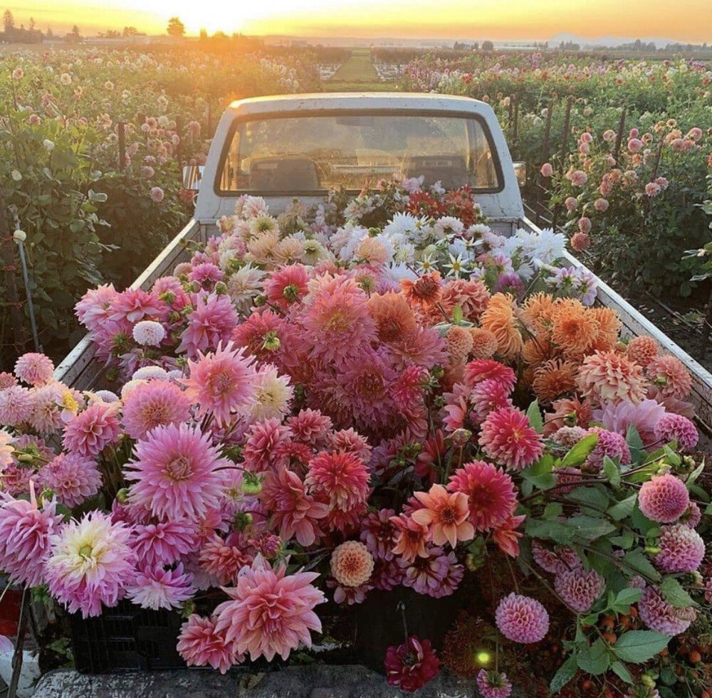 凡是过往，皆为序章是什么意思？