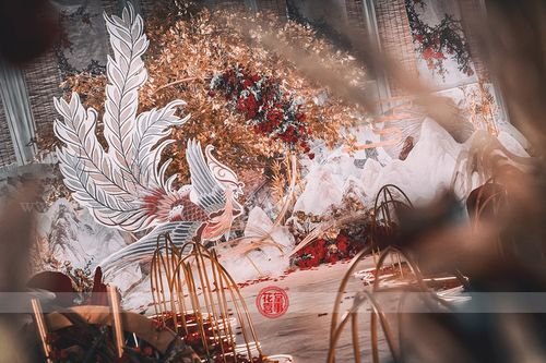 什么是凤栖梧桐？