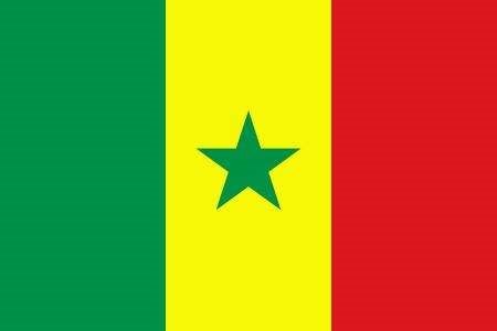 那个纵条的红黄绿的国旗中间还有个五角星，请问是哪个国家的国旗。