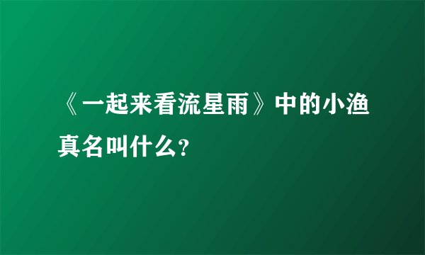 《一起来看流星雨》中的小渔真名叫什么？