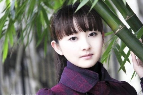 青山绿水剧情介绍