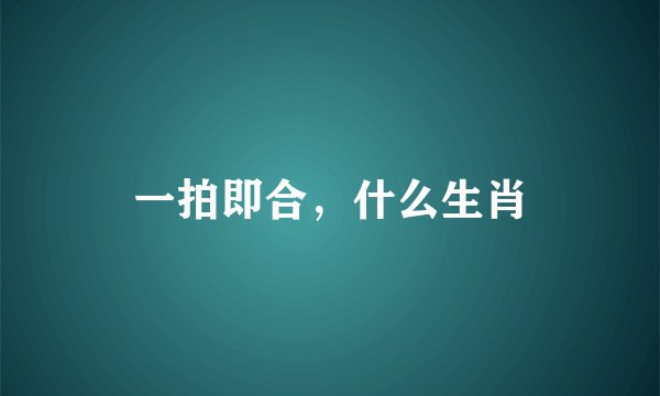 一拍即合，什么生肖