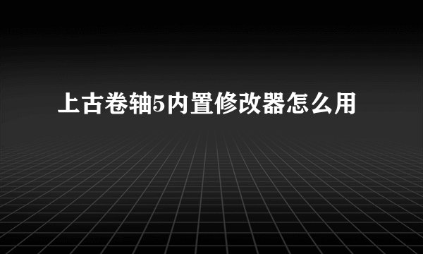 上古卷轴5内置修改器怎么用