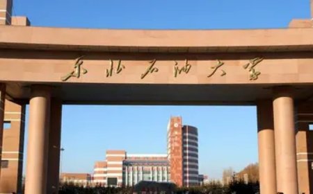 东北石油大学在大庆哪个区