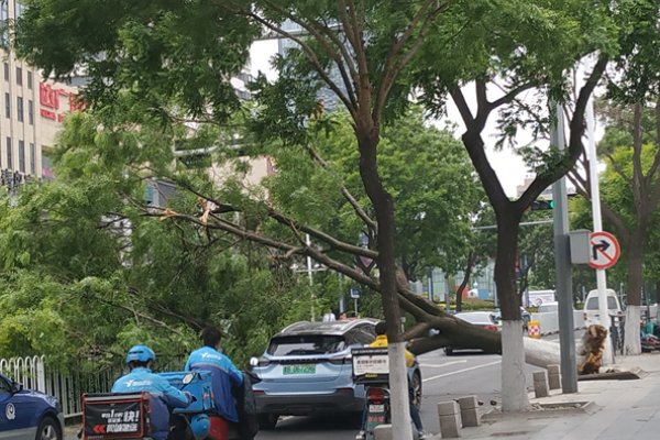 7级大风能吹动多重的东西