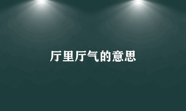 厅里厅气的意思