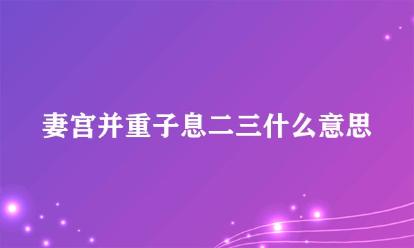 妻宫并重子息二三什么意思