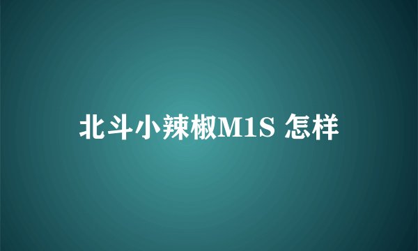 北斗小辣椒M1S 怎样