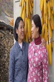 八月高粱红的演职员表