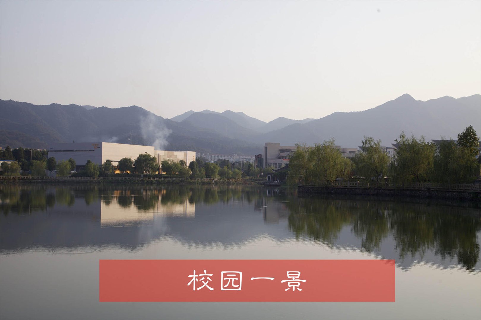 分智网的公司景愿