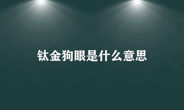 钛金狗眼是什么意思