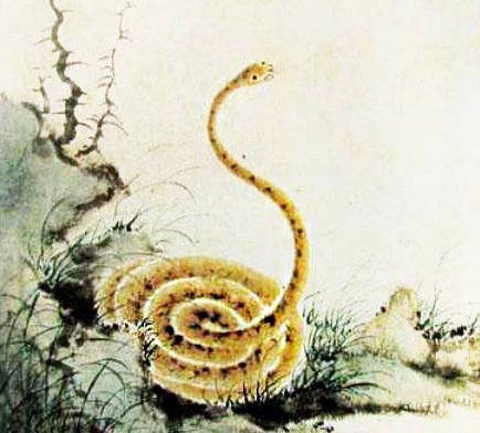 春分秋至打一正确生肖