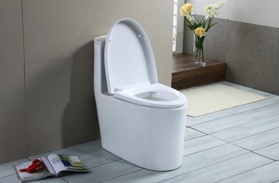 马桶经常堵，可能是什么原因？怎么办？