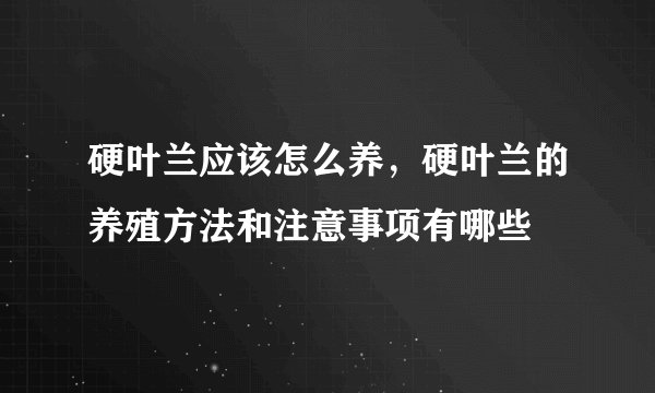 硬叶兰应该怎么养，硬叶兰的养殖方法和注意事项有哪些