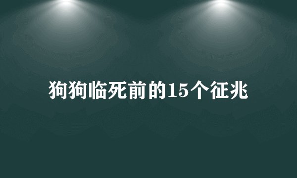 狗狗临死前的15个征兆