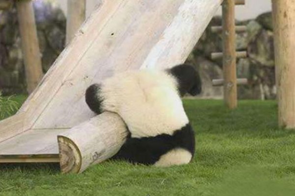 用栽跟头造句10字