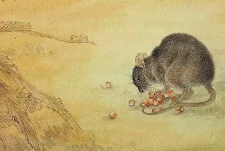 十冬腊月指什么生肖