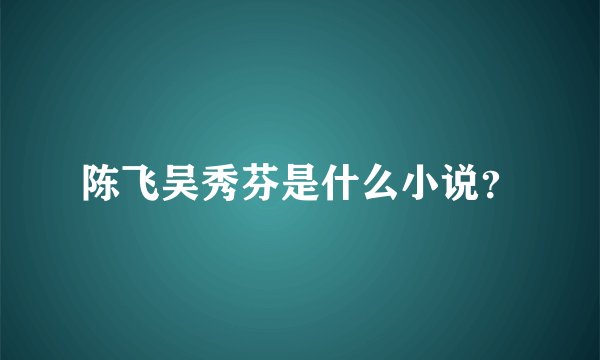 陈飞吴秀芬是什么小说？
