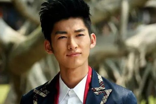 一起来看流星雨演员表有哪些人?