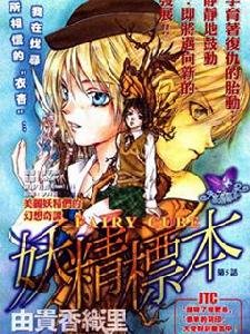 妖精标本的基本信息