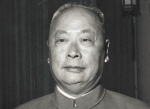 关于含羞草的诗句