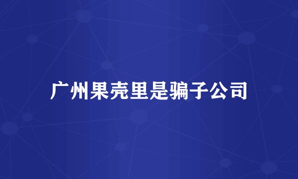 广州果壳里是骗子公司