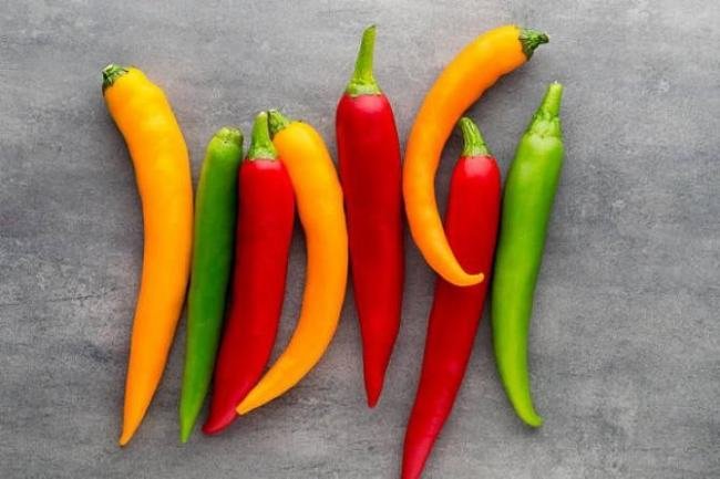 红口袋，绿口袋，有人害怕有人爱（打一蔬