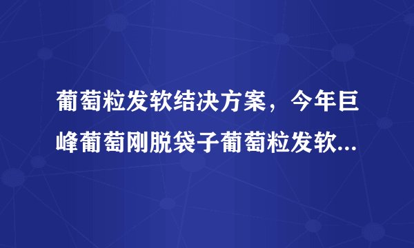 葡萄粒发软结决方案，今年巨峰葡萄刚脱袋子葡萄粒发软不知道什么原因，拜托各位老师求助！