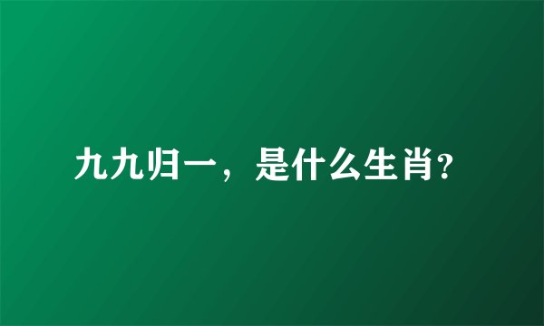 九九归一，是什么生肖？