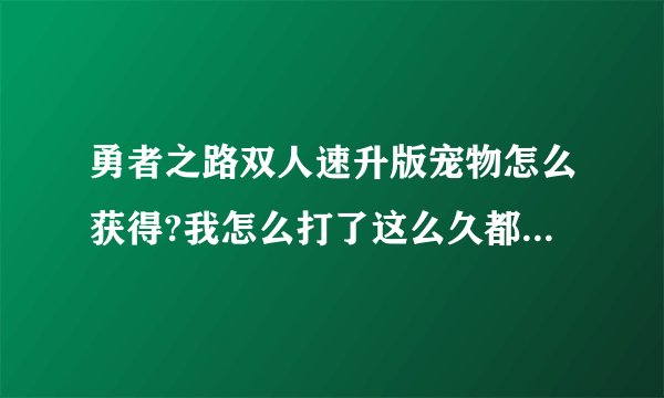勇者之路双人速升版宠物怎么获得?我怎么打了这么久都没有啊？