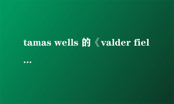tamas wells 的《valder fields 》完整歌词