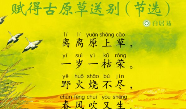 离离原上草，一岁一枯荣。野火烧不尽，春风吹又生 .诗名是什么？