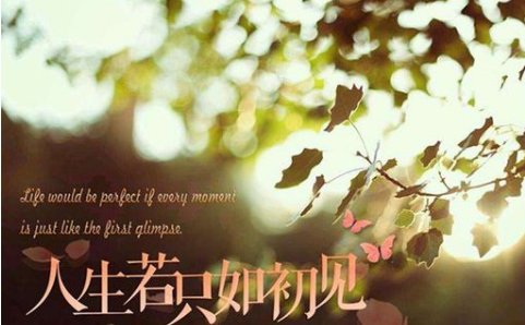 如初见人生若只如初见的句子