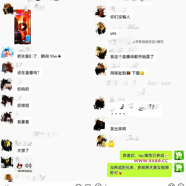 hongkong玩偶视频在哪看