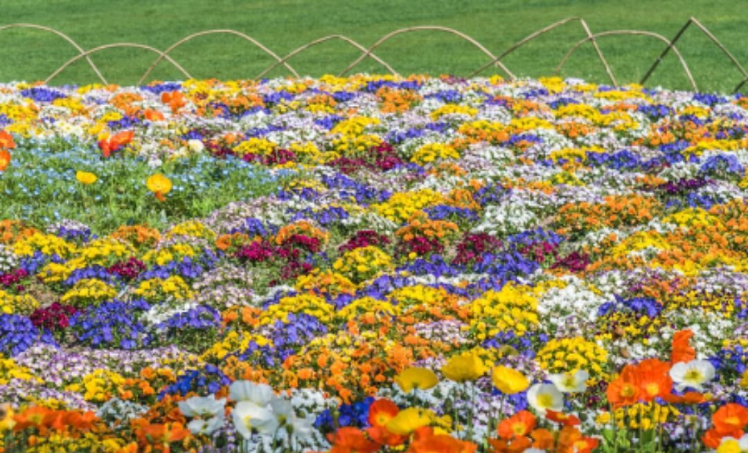 繁拼音组词部首